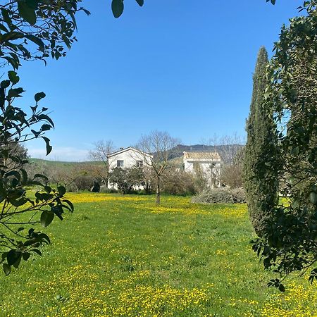 Agriturismo Colle Igino Matera Exterior foto
