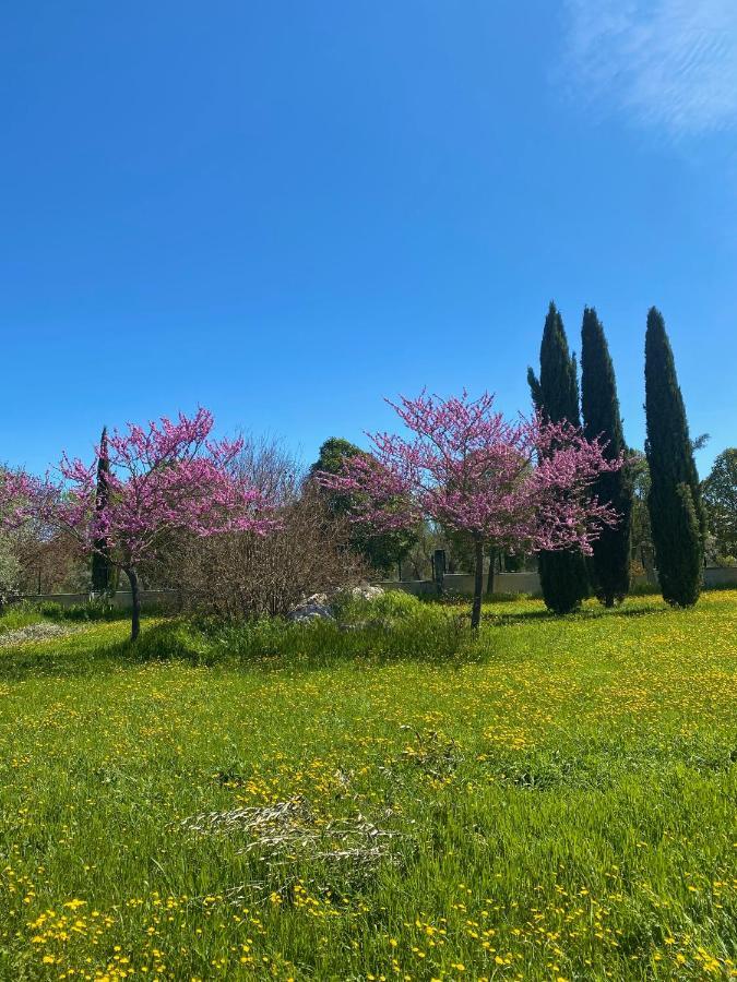 Agriturismo Colle Igino Matera Exterior foto