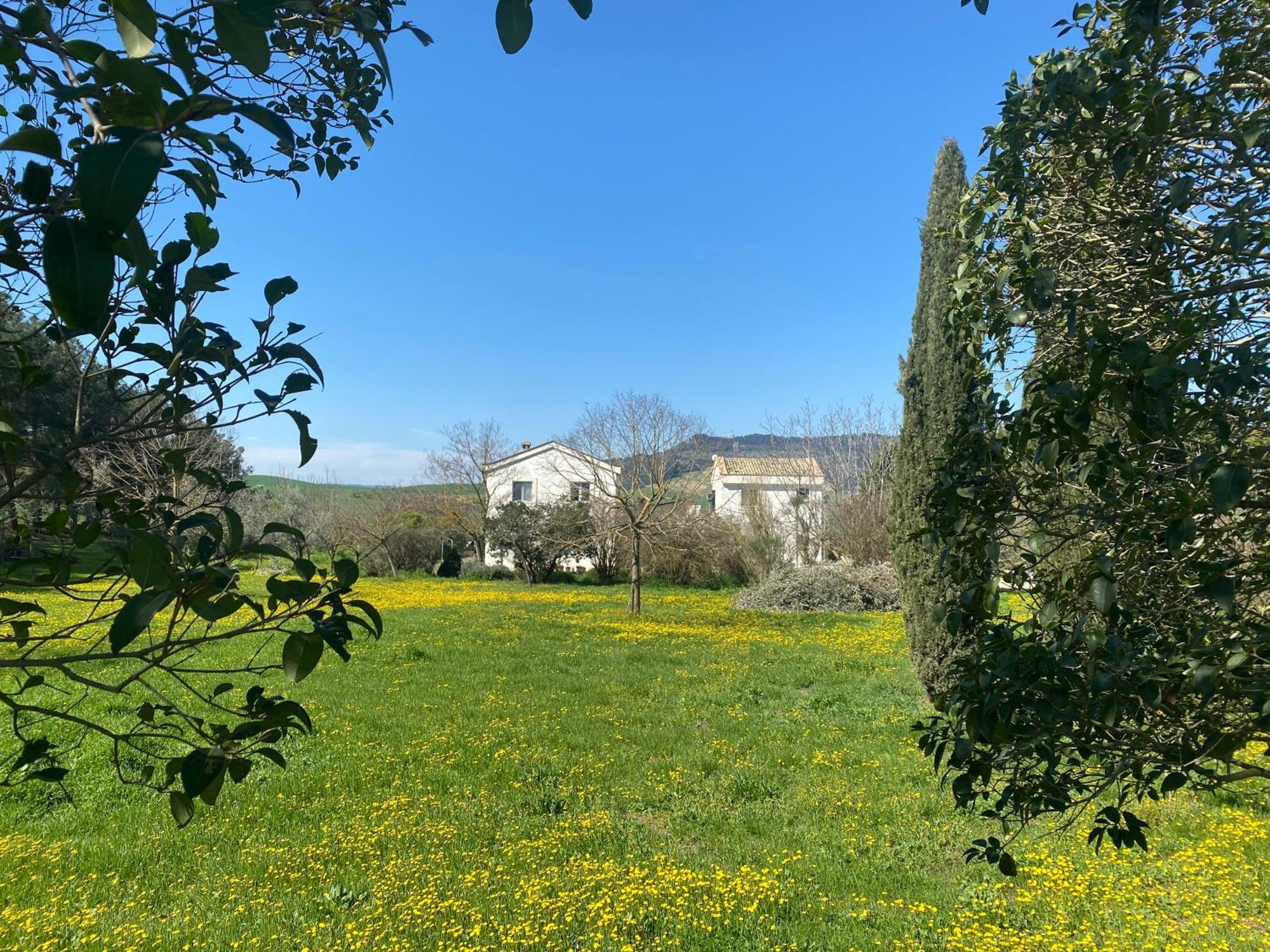Agriturismo Colle Igino Matera Exterior foto