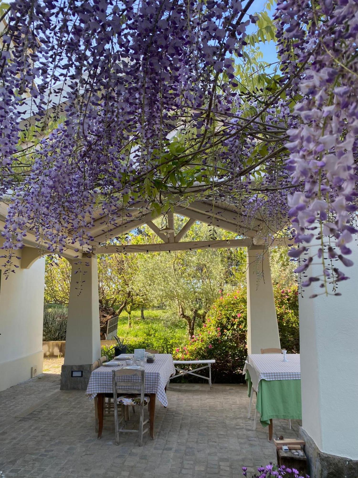 Agriturismo Colle Igino Matera Exterior foto