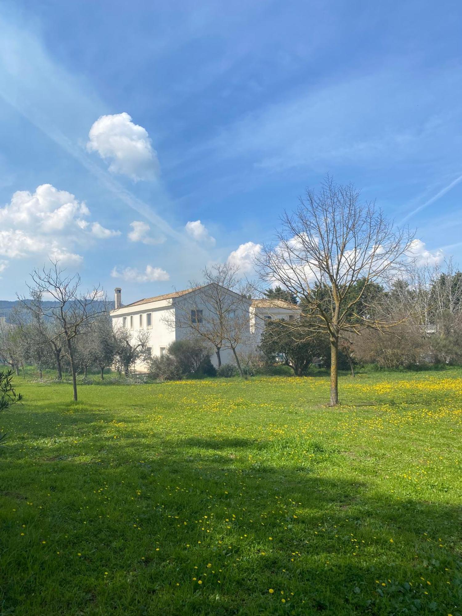 Agriturismo Colle Igino Matera Exterior foto